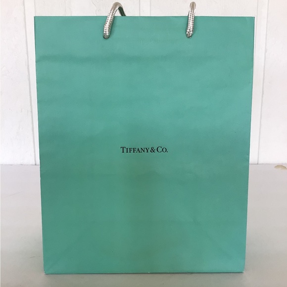 TIFFANY & CO PAPER SHOPPING BAG - Picture 5 of 11